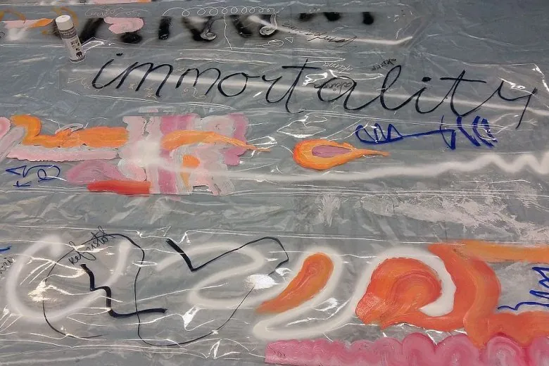 Ilze Aulmane. Fragment from installation.